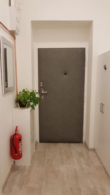 Appartement Finnem